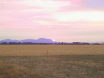 Scenic view of field against sky during sunset