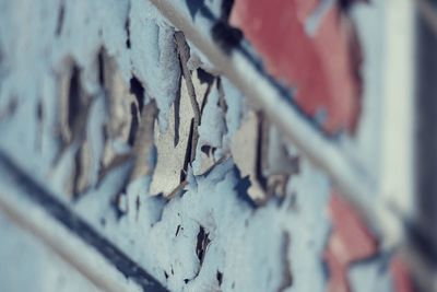 Close-up of rusty metal