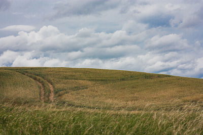 Scenic view of field against sky