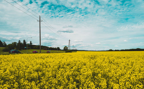 Scenic view of field against sky