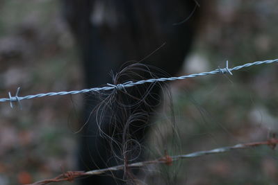 Close-up of barbed wire fence on field