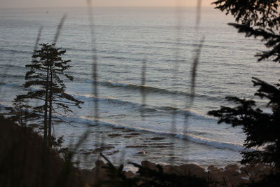 Scenic view of beach