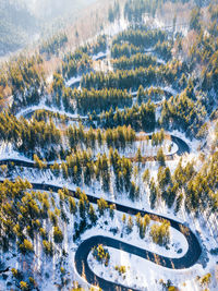 High angle view of road amidst trees during winter