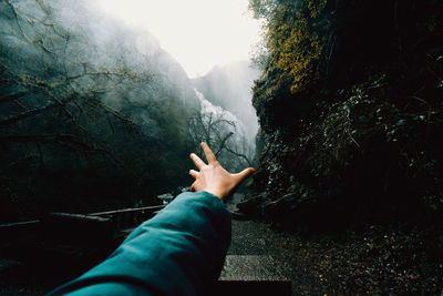 Midsection of man using mobile phone in forest