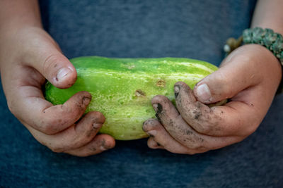 Midsection of person holding fruit