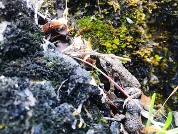 High angle view of rocks