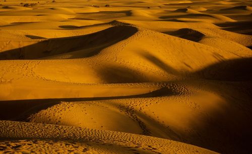 Sand dunes in desert