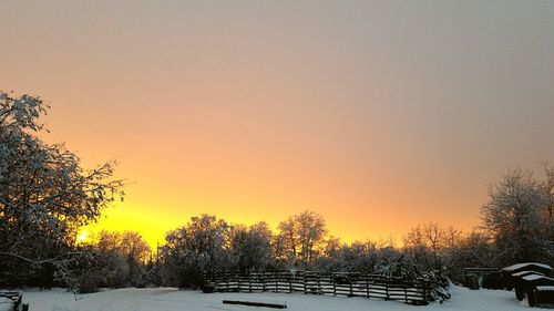 Snow covered trees against sky during sunset