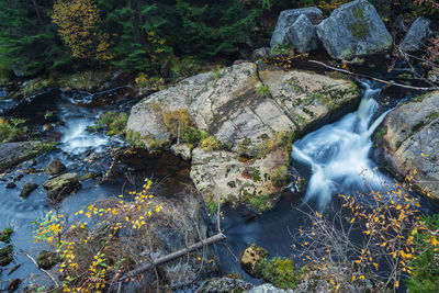 Stream flowing through rocks in forest