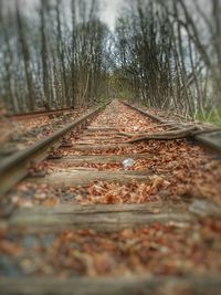 Surface level of railroad tracks