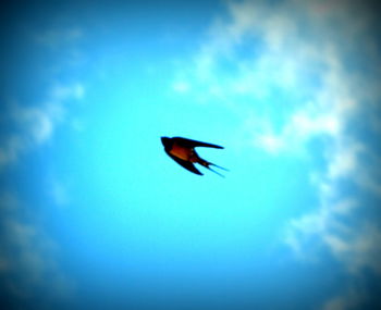 Low angle view of silhouette bird flying against blue sky