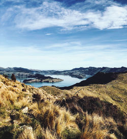 Scenic view of landscape against sky