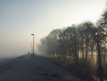 Foggy road during sunset