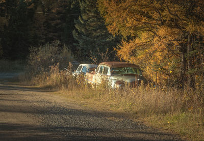 Cars on grassy field