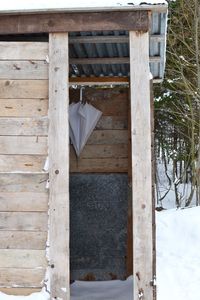 Close-up of clothes drying on wood