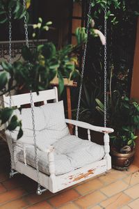 Potted plants on chair at home