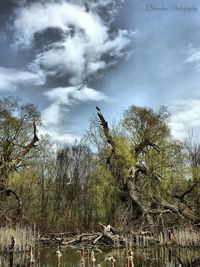 Scenic view of landscape against cloudy sky