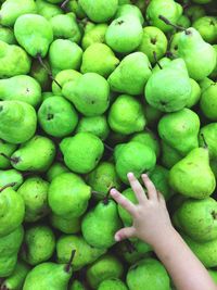 Close-up of hand holding fruit