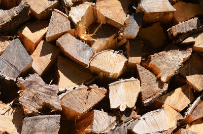 Full frame shot of logs in forest