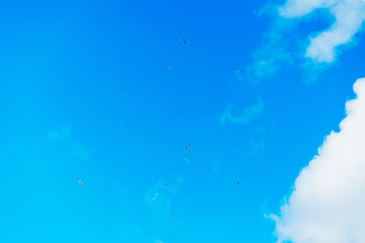 Low angle view of birds flying in sky