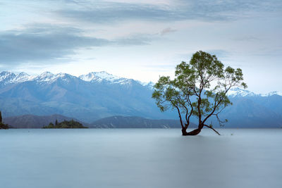 Scenic view of snowcapped mountains against sky