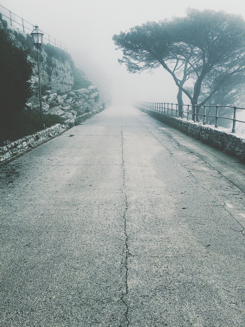 the way forward, tree, diminishing perspective, vanishing point, bare tree, transportation, road, fog, weather, tranquility, footpath, empty, sky, tranquil scene, nature, street, empty road, foggy, long