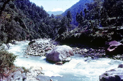 wilderness