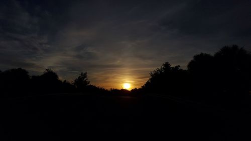 Silhouette of trees at sunset