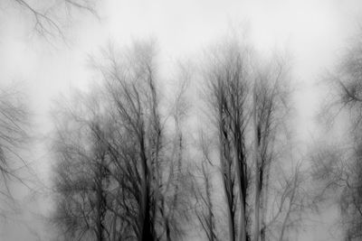 Low angle view of bare trees against sky