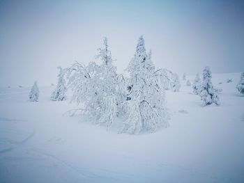 Scenic view of snow covered field against sky