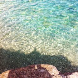 View of water in water