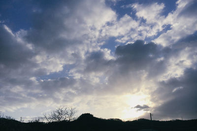 Low angle view of silhouette trees against sky during sunset