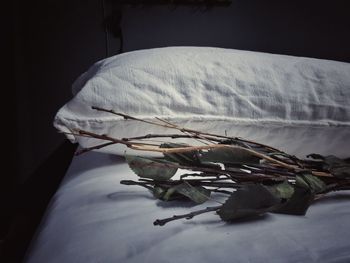 Close up of dry plant on bed at home