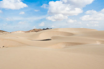 Sand dunes in desert against sky