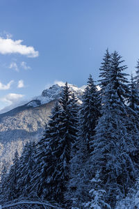 Snow covered landscape against sky