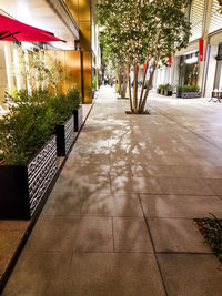 Footpath amidst buildings in city