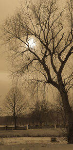 Bare trees on landscape against sky during winter