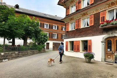 View of a dog walking in front of building