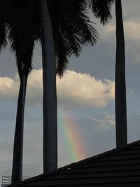 Low angle view of palm trees against sky