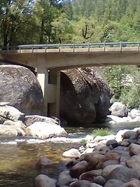 Bridge over river in park
