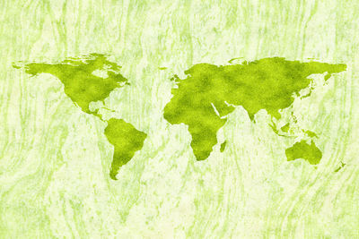 Full frame shot of green leaf