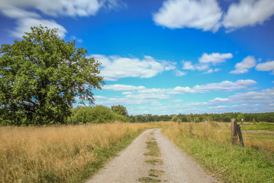 Empty road amidst field against sky