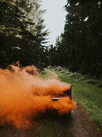 Smoke emitting from piano amidst trees in forest