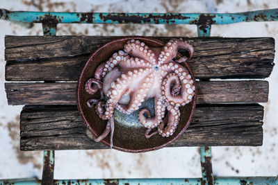 Octopus is raw, ready to cook. creative concept of healthy food