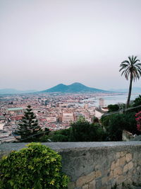 Trees and buildings against clear sky