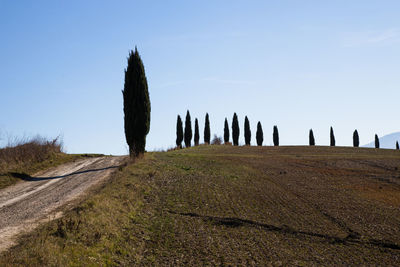 Panoramic view of land against clear sky