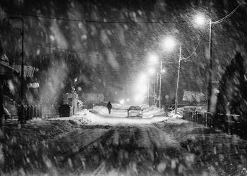 Street amidst trees during winter at night