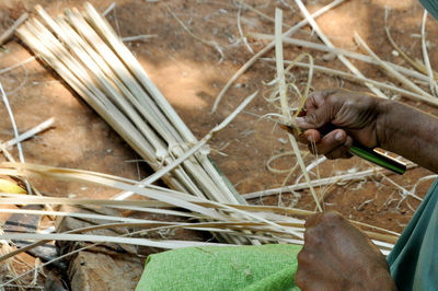High angle view of hand working on plant