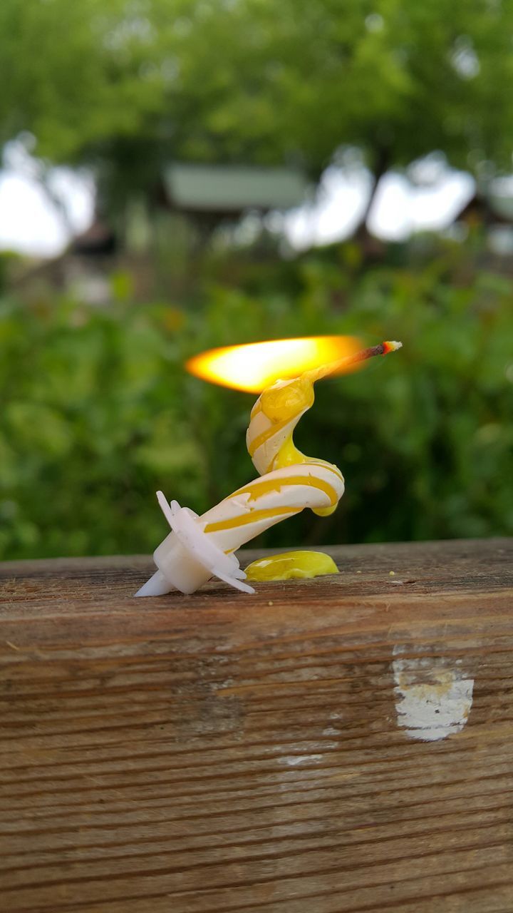 wood - material, focus on foreground, close-up, wooden, nature, fragility, wood, flower, beauty in nature, day, plank, selective focus, outdoors, yellow, water, lake, no people, freshness, petal, leaf