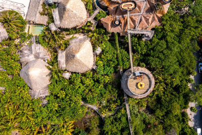 Beautiful wooden huts and buildings in the middle of a forest.